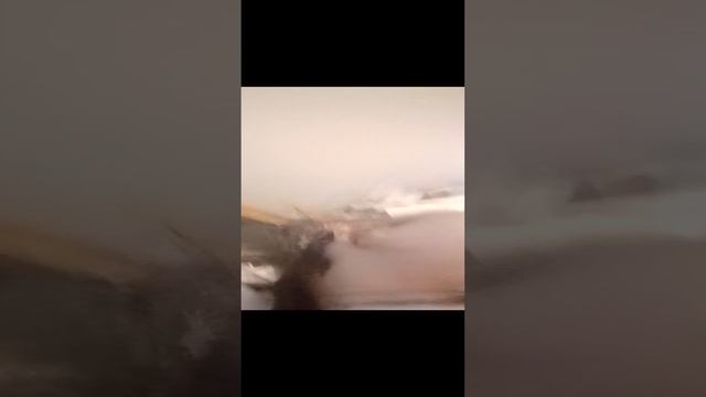 Просто смешанная тема 🤣😅