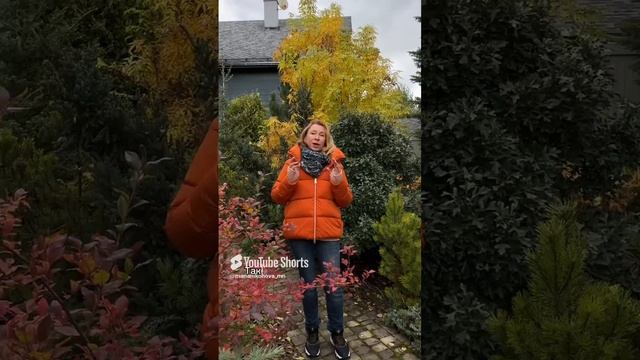 Можно ли использовать геотекстиль в саду?