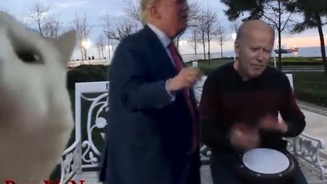 biden sings trump dances cat vibes  ( Ievan Polkka ) deepfake