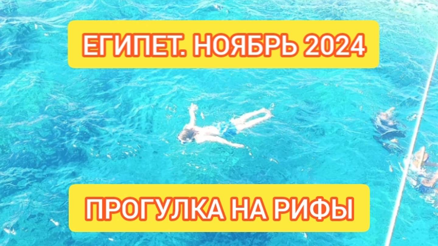 ОТПУСК В ЕГИПТЕ 2024. МОРСКАЯ ПРОГУЛКА НА МОРСКИЕ РИФЫ. ПОДВОДНОЕ ПЛАВАНЬЕ.