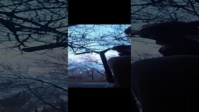 учу трюк мэнл