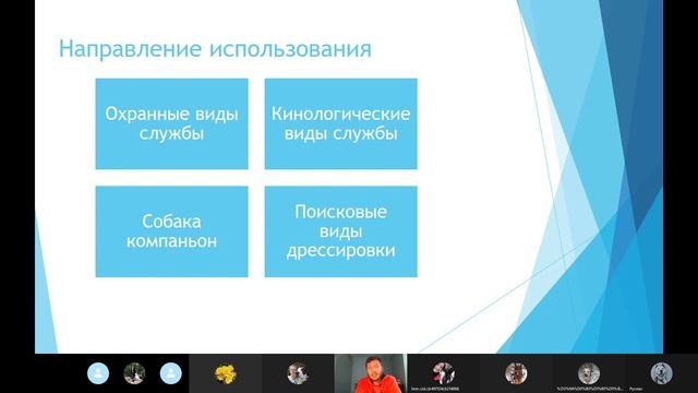 Питбультерьер МИФЫ И РЕАЛЬНОСТЬ