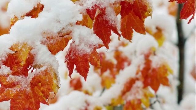 Истории из жизни Необычное предложение Слушать аудио рассказы. Истории онлайн - смотреть видео он