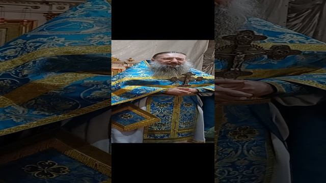 22.11.2024. Скоропослушница.
