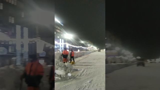 2024-11-21-154510487.mp4 Елена Дружиненко Воркута
