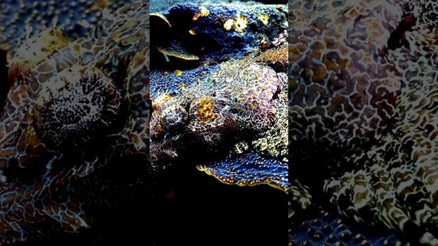 Камера и жизнь