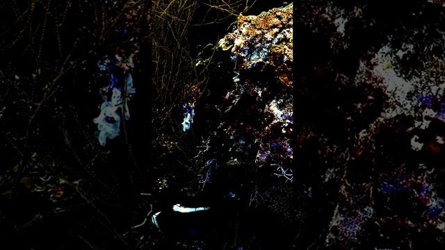 Вдохновение через объектив