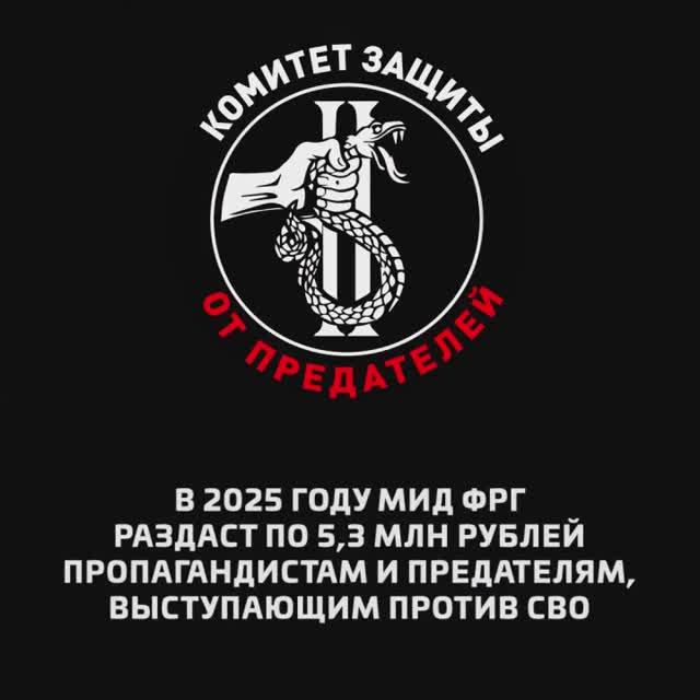 В 2025 году МИД ФРГ раздаст по 5,3 млн рублей пропагандистам и предателям, выступающим против СВО