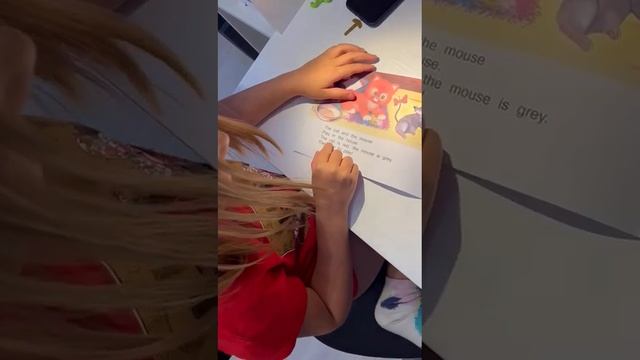English 6+ Читаем на английском языке. (4)