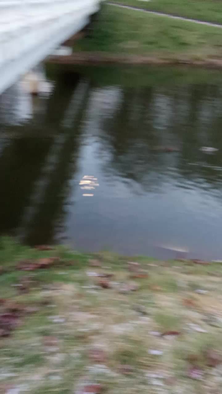###№#####