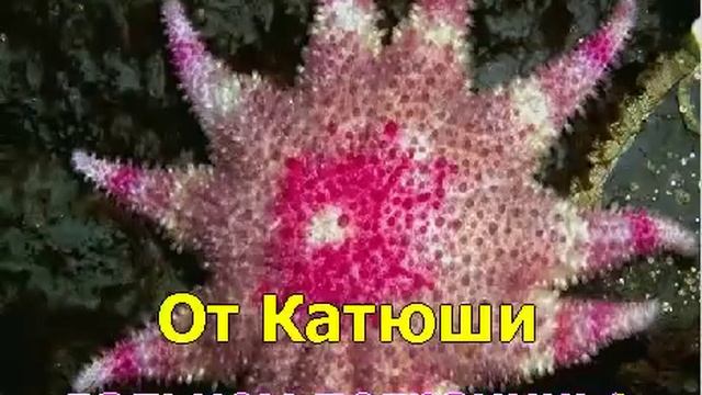 Катюша Караоке