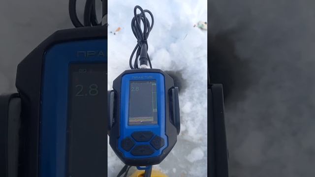 где же ты? #45йрыбак #окунь #блесна #shorts