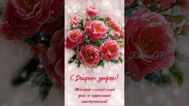 С добрым утром, дорогие мои! Прекрасного всем дня!