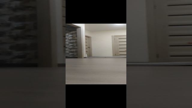 VID_20241108_223207_HSR_120.mp4