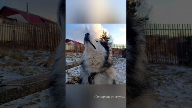 scene_output.mp4