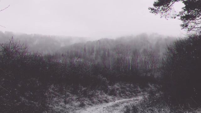 MGŁA - Age Of Excuse VI [LYRIC VIDEO]