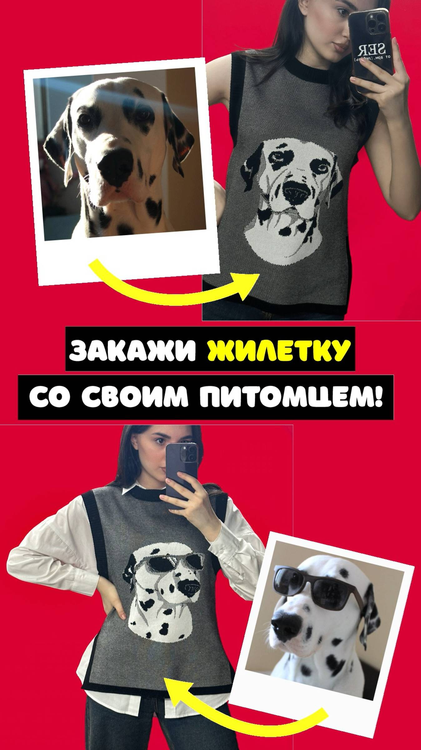 Закажи вязаную жилетку со своим питомцем!