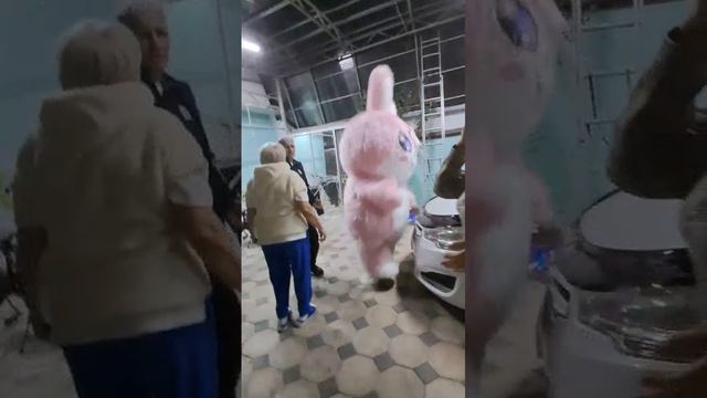 Зайка Топп