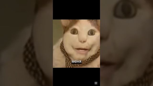 Подпись
