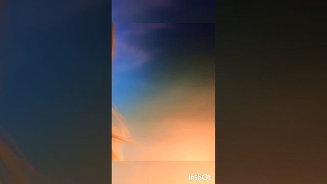 Улетай на крыльях ветра