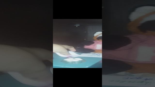 Это красная панда по имени нутелла!🎀