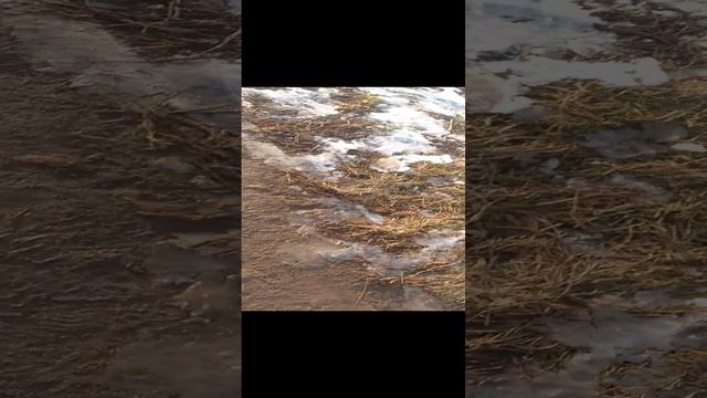 RuTube запретили в google play