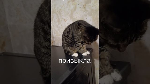 уже не боиться