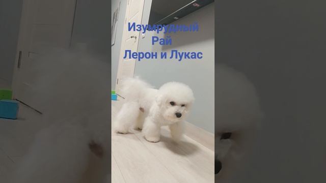 Ожидание праздника