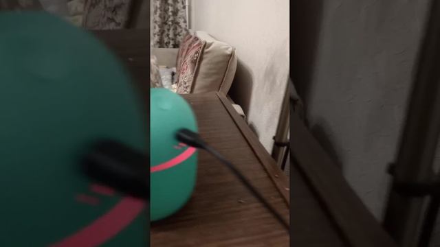 scene_output.mp4