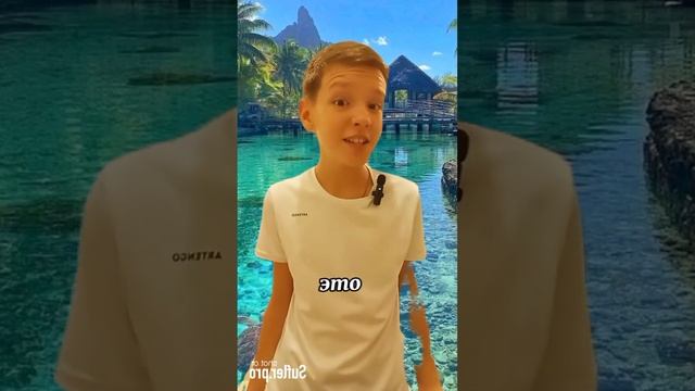 Акулы- интересный факт