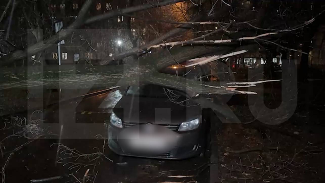 Четыре человека пострадали в столичном регионе во время шторма