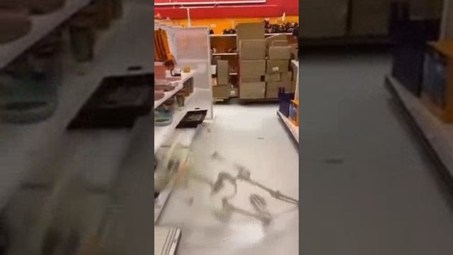 VID-20241116-WA0002.mp4