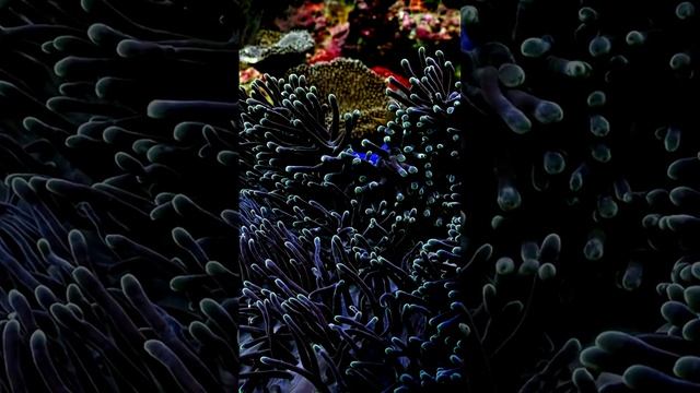 Обыденное в деталях