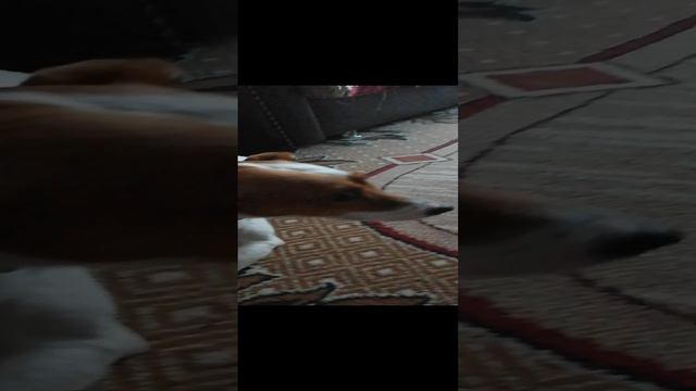 стой стой не уходи пожалуйста 🥺