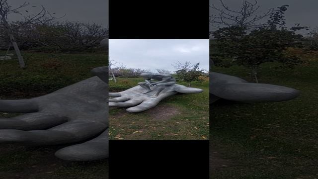 1000119876.mp4