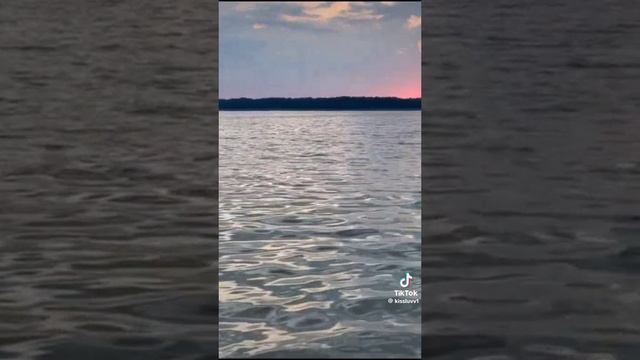 1000004238.mp4