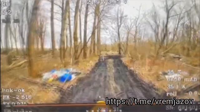 Оператор FPV-дронов «Браконьер» охотится на немецкие БМП Marder 1A3 в Курской области.