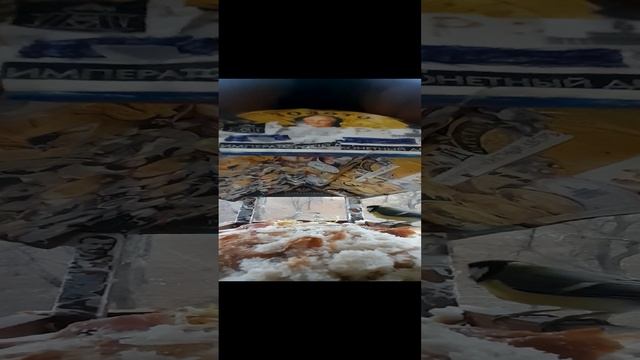 1000033204.mp4Р/А."Кормушка".22.11.2024г.