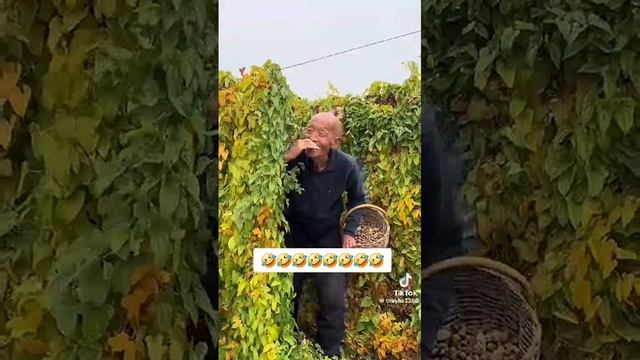 Для хорошего настроения вам в ленту 🤣🤣🤣🤣🤣