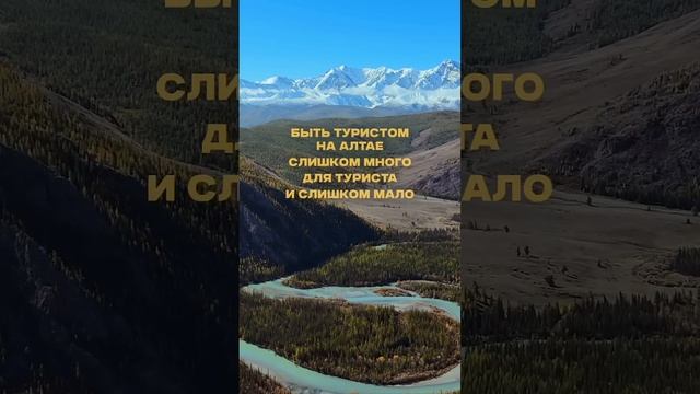 Вторая часть второй часть о влажном на Алтае #алтай #природа #горы #travel