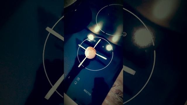 Выращиваем авокадо