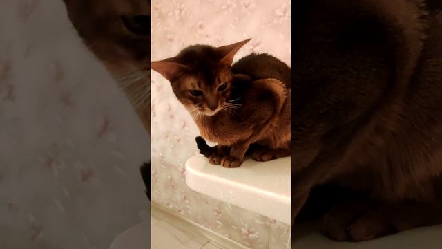 Ну и как мы вам? 😁