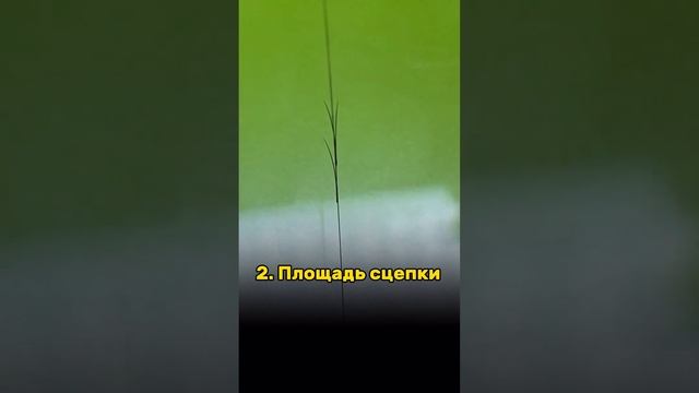 Упражнение для тренеровки техники