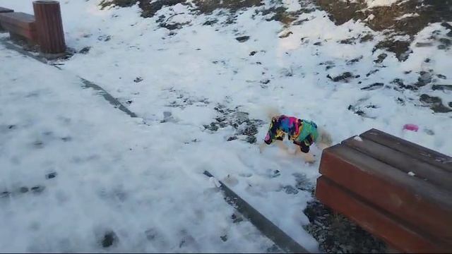 Как же хорошо гулять в 2024 ноябрь