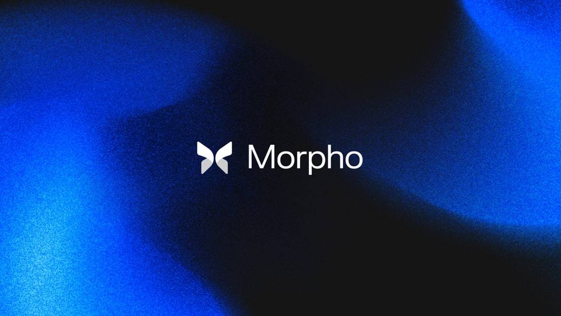 MORPHO +6к ЛИСТИНГ