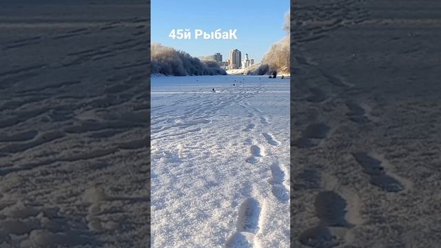 45й РыбаК #shorts