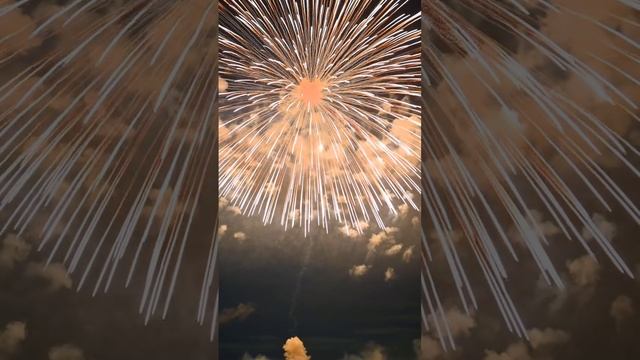 VID_20241122_182811_154.mp4