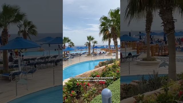 Отель ALBATROS PALACE SHARM 
Египет 🇪🇬