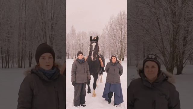 Поздравление от владельцев владимирских тяжеловозов. #владимирскийтяжеловоз