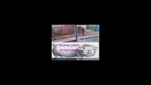 Невинномысск, а из нашего окна..22 11 24 F